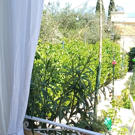 Flora Corfu - Adults Only * Benitses (Corfu)