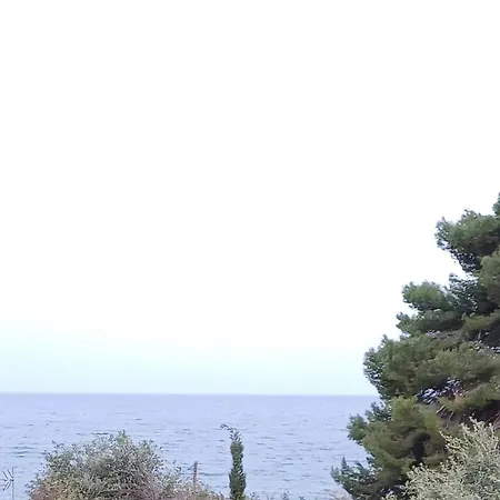Flora Corfu - Adults Only Benitses (Corfu)