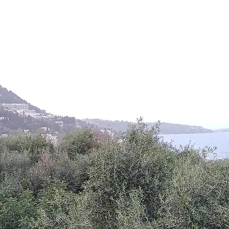 Flora Corfu - Adults Only Benitses (Corfu)